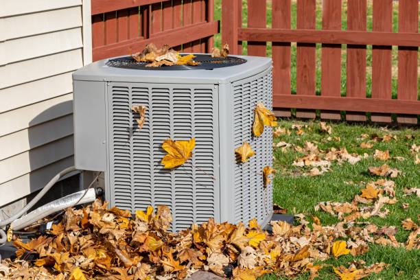 Best HVAC Installation Services  in Rolla, ND
